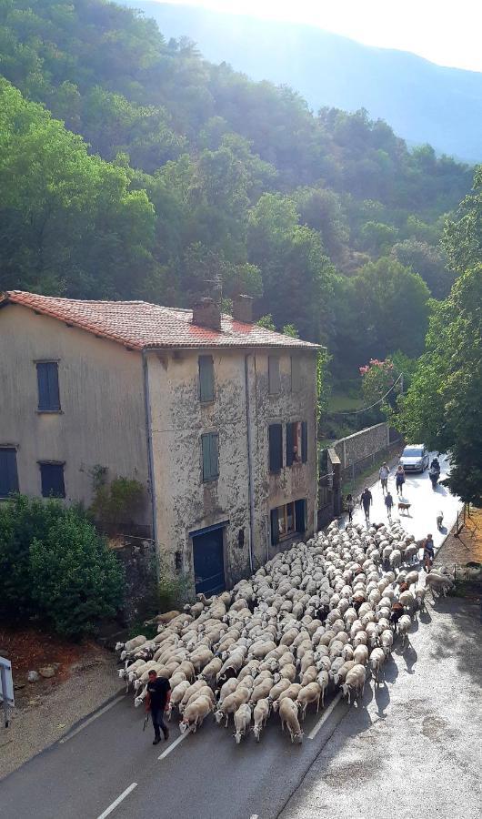 Auberge Cevenole Valleraugue Exterior foto